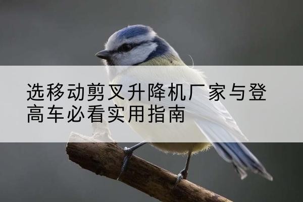 广安电动升降机厂家-选移动剪叉升降机厂家与登高车必看实用指南