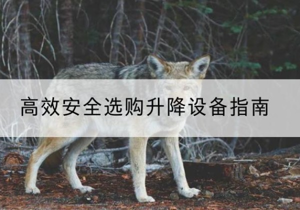 广安升降货梯厂家推荐-*安全选购升降设备指南