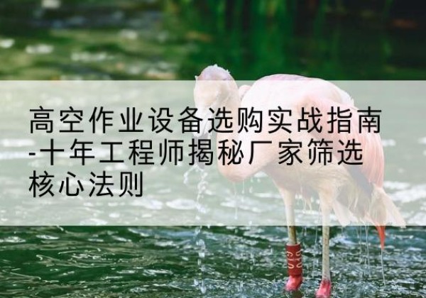 广安剪叉式升降机厂家-高空作业设备选购实战指南-十年工程师揭秘厂家筛选核心法则